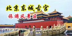 老师的小淫穴中国北京-东城古宫旅游风景区